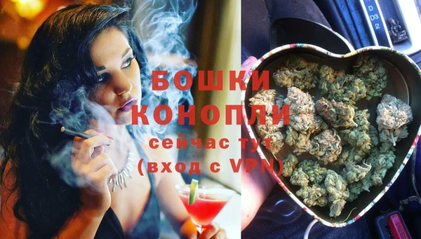 таблы Богородицк