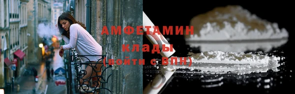 прущие грибы Богданович