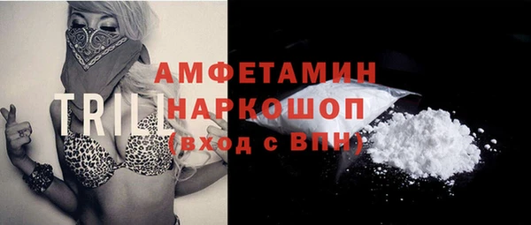 прущие грибы Богданович