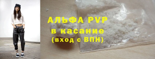 прущие грибы Богданович