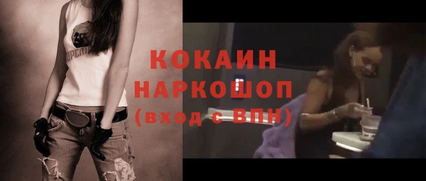 прущие грибы Богданович