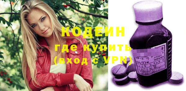 прущие грибы Богданович