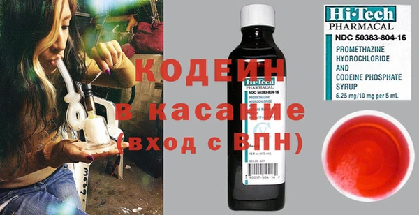 прущие грибы Богданович
