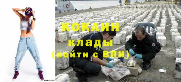 прущие грибы Богданович