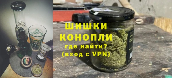 прущие грибы Богданович