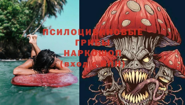 прущие грибы Богданович