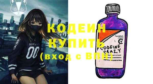 прущие грибы Богданович