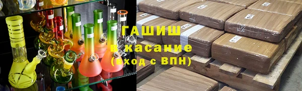 прущие грибы Богданович