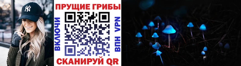 Псилоцибиновые грибы MAGIC MUSHROOMS Купить Великие Луки