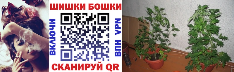 Каннабис Amnesia Купить Великие Луки